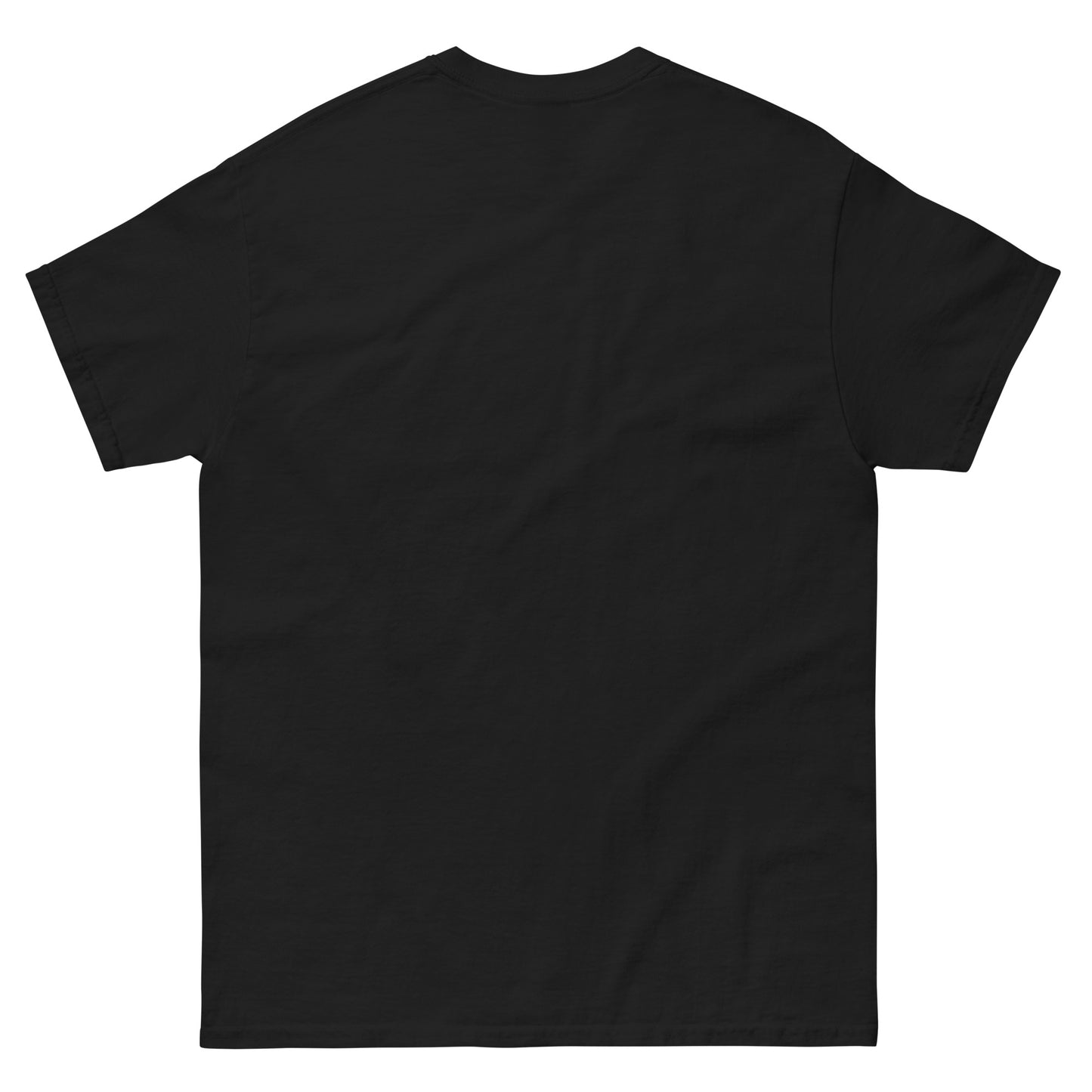 Montauk Light House Graphic 6 Unisex classic tee