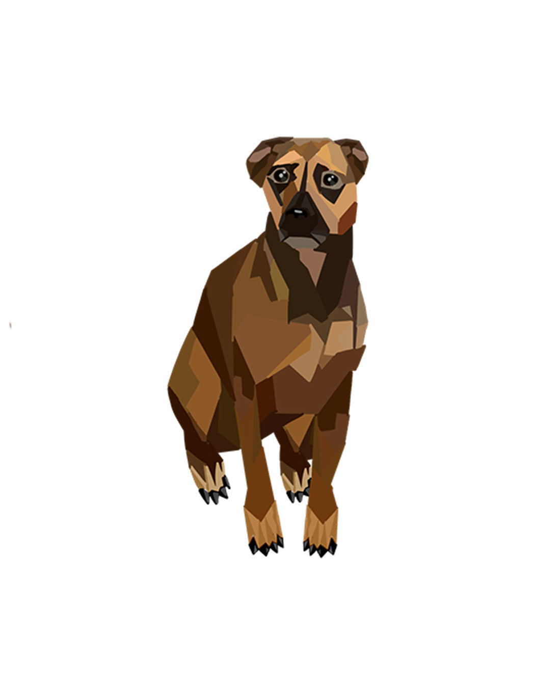 Dogs Collection