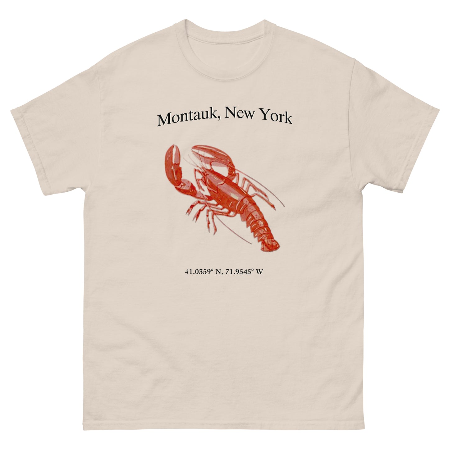 Montauk, NY Fish Unisex classic tee