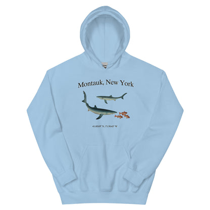 Montauk, NY Unisex Hoodie