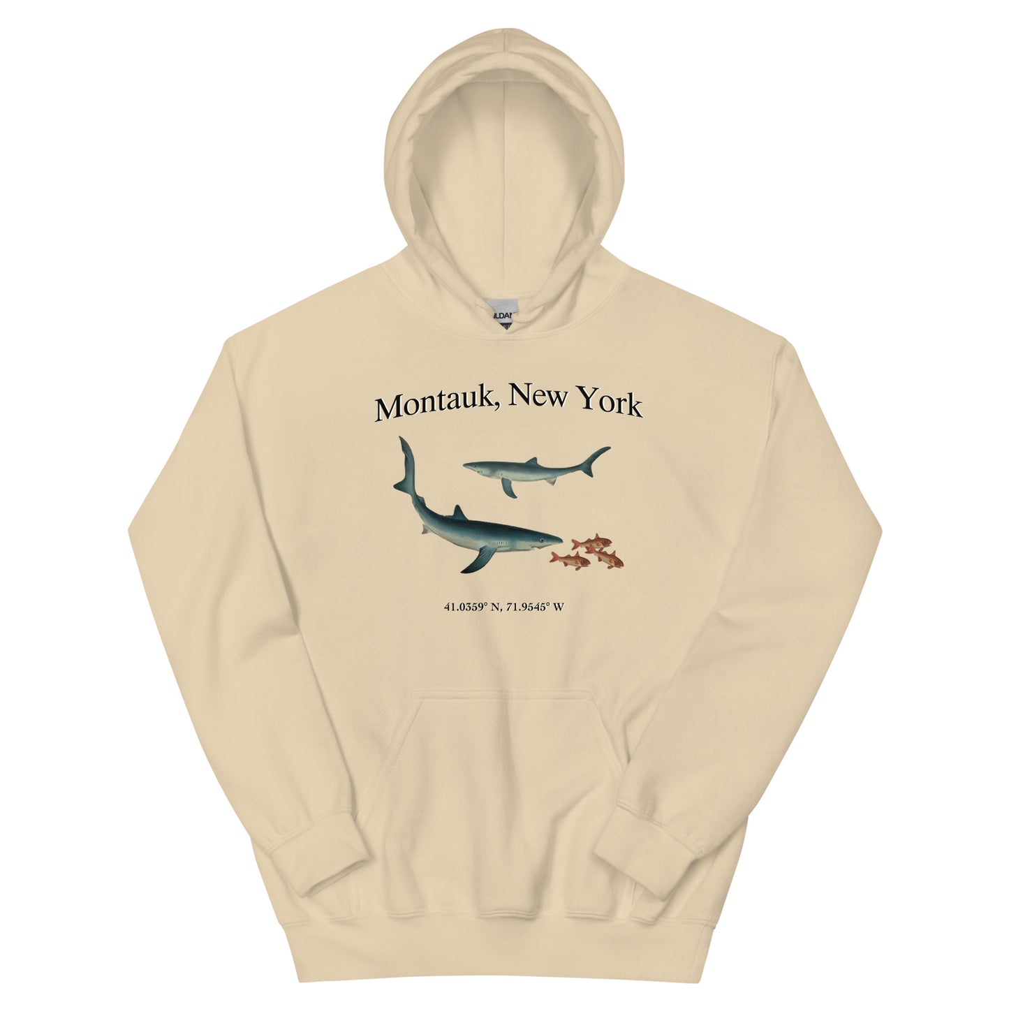 Montauk, NY Unisex Hoodie