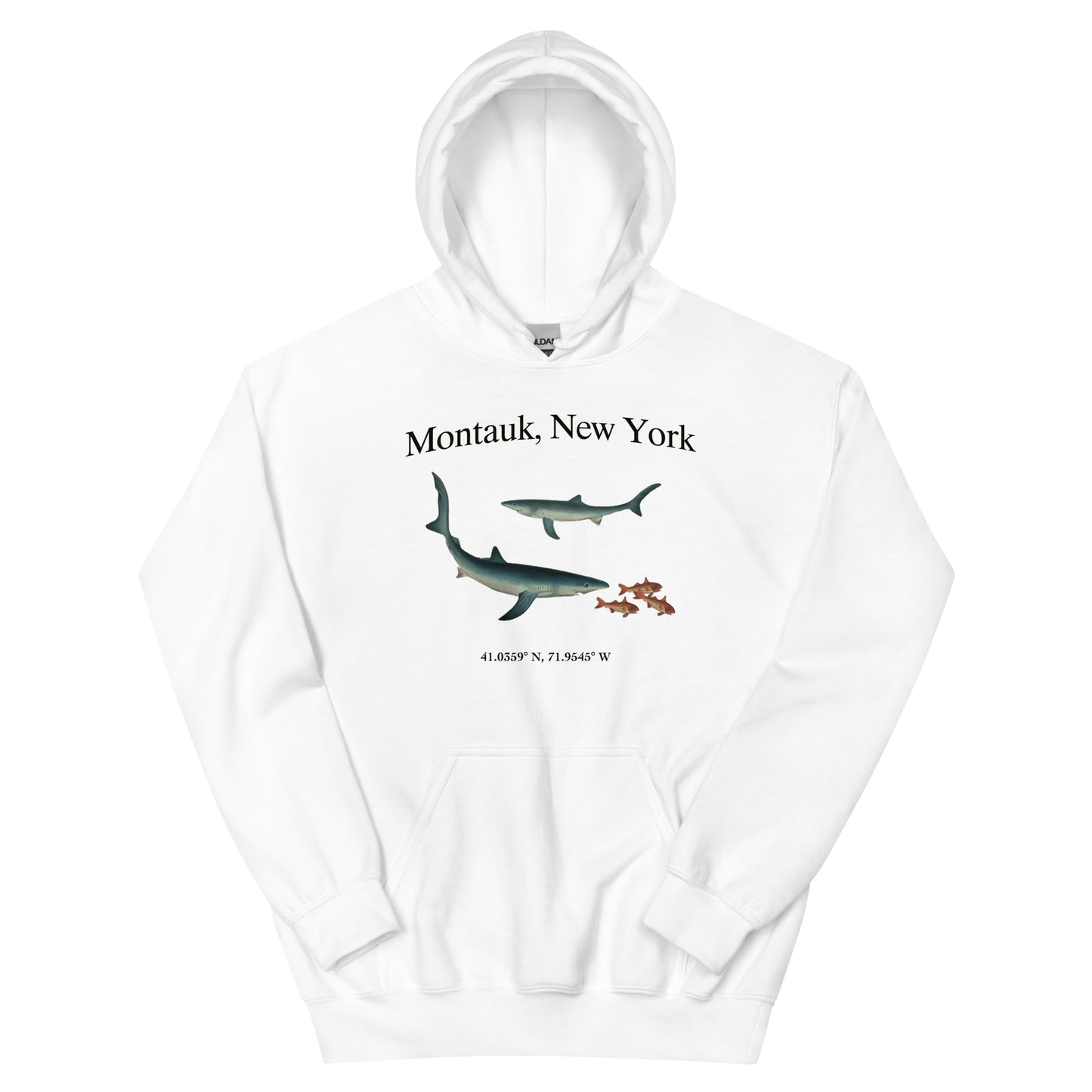 Montauk, NY Unisex Hoodie